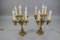 French Louis XVI Style Bronze and Crystal Candelabra Table Lamps, Set of 2 14