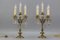 French Louis XVI Style Bronze and Crystal Candelabra Table Lamps, Set of 2 6