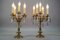 French Louis XVI Style Bronze and Crystal Candelabra Table Lamps, Set of 2 3
