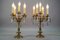 French Louis XVI Style Bronze and Crystal Candelabra Table Lamps, Set of 2, Image 3