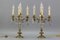 French Louis XVI Style Bronze and Crystal Candelabra Table Lamps, Set of 2 5