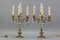 French Louis XVI Style Bronze and Crystal Candelabra Table Lamps, Set of 2, Image 5