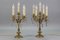 French Louis XVI Style Bronze and Crystal Candelabra Table Lamps, Set of 2, Image 4