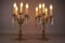French Louis XVI Style Bronze and Crystal Candelabra Table Lamps, Set of 2 2
