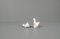 Porcelain Ducks, 1970s, Set of 2, Image 6