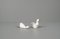 Porcelain Ducks, 1970s, Set of 2, Image 3