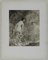 Aime Morot, Study of Woman Bathing Nude, 1900s, Signed Engraving 13