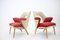 Mid-Century Sessel, 1960er, 2er Set 8