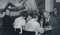 Erich Andres, People Dining at Latin Quarter, Paris, France, 1950s, Black & White Photograph, Image 3