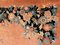 Hellrosa floraler chinesischer Deco Nichols Teppich, 1920er 9