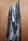 Medium 395 Million Year Old Fossilized Orthoceras Marble Finish Statues, Set of 2 3