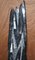 Medium 395 Million Year Old Fossilized Orthoceras Marble Finish Statues, Set of 2 6