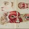 Antike Anatomische Klappbroschüre mit Anatomie des Menschen 9