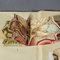 Antike Anatomische Klappbroschüre mit Anatomie des Menschen 10