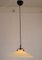 Adjustable Suspension Lamp from De Majo-Murano, Italy, 1960s 9