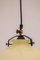 Adjustable Suspension Lamp from De Majo-Murano, Italy, 1960s 10