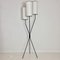 Mid-Century Tripod Floor Lamp, France, 1950s 1