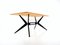 Vintage Model 1000 Dining or Work Table by Hans Bellmann for Wohnbedarf, Image 2