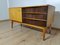 Mid-Century Modern Plywood Czechoslovakian Sideboard 4