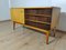 Mid-Century Modern Plywood Czechoslovakian Sideboard 3