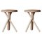 Tikku Stools by Made by Choice, Set of 2 1