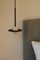 Alba Pendant Cable by Contain 4