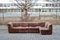 Braunes Vintage Sofa von Rolf Benz, 1970er 1