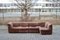Vintage Brown Sofa from Rolf Benz, 1970s 1