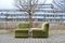 Grünes Vintage Sofa von Rolf Benz 21