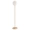 Brass Dimmable 06 Floor Lamp by Magic Circus Editions 1