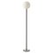 Brass Dimmable 06 Floor Lamp by Magic Circus Editions 6