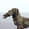 Bronze Statue of Hunting Dog, Czechoslovakia, 1920s 4