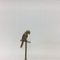 Vintage Hollywood Regency Brass Parrot on Stick Statue, 1970s 3