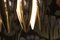 Lampada a sospensione Kastor in ottone di John Hammerborg per Fog & Morup, Immagine 12