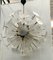 Mid-Century Transparent Murano Art Glass Sputnik Chandelier, 1980, Image 1