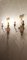 Lámparas de pared de madera de haya policromada, década de 1900. Juego de 2, Imagen 13