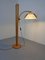 Danish Adjustable Floor Lamp from Domus, 1970s, Image 2