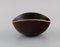 Glazed Ceramic Bowl by Gunnar Nylund for Rörstrand, Image 3