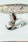 Silver & Agate Ring by Elis Kauppi, Image 2