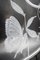 Butterfly Decorative Disk by Vanessa Cavallaro 2