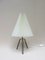 Minimalist Pleated Screen Plastic String Table Lamp, 1960s 2
