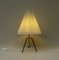 Minimalist Pleated Screen Plastic String Table Lamp, 1960s 8