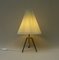 Minimalist Pleated Screen Plastic String Table Lamp, 1960s, Image 8