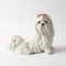 Salvadanaio a forma di cane in ceramica di Il Quadrifoglio, Italia, anni '60, Immagine 1
