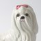 Salvadanaio a forma di cane in ceramica di Il Quadrifoglio, Italia, anni '60, Immagine 3