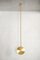 Xl Alba Top Vertical Pendant by Contain 4