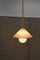 Alba Top Pendant by Contain 4