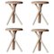 Tikku Stools by Made by Choice, Set of 4 1