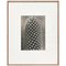 Photographies Karl Blossfeldt, Fleurs Noires et Blanches, Set de 6 6