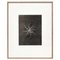 Karl Blossfeldt, Black & White Flowers, Fotografien, 6er Set 11